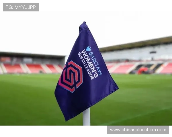 英超球队市值:最具商业价值的俱乐部 英超球队市值:最具商业价值的俱乐部