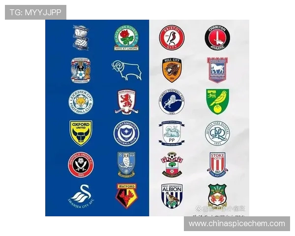 英超足球队队徽：英超各球队的队徽设计与含义