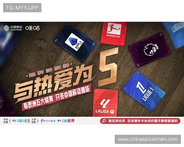 西甲联赛和其他联赛区别：西甲与英超、意甲等其他联赛的比较