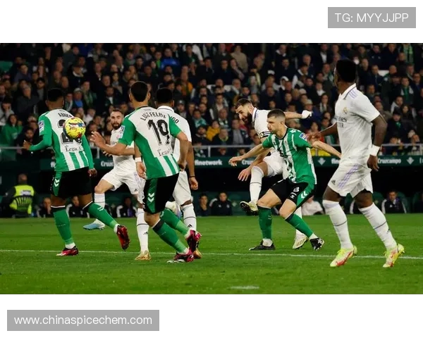 西甲联赛赛程深度分析及赛程对球队竞技状态的影响