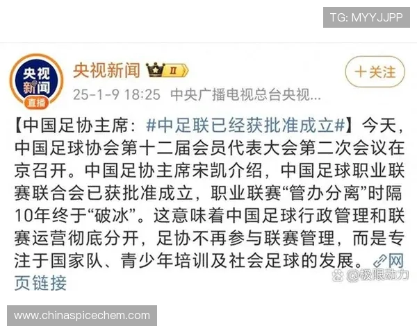 足球赛事中的职业化进程与发展趋势
