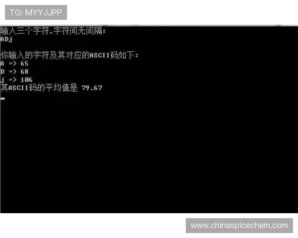 键盘上的角旗区：数字时代球迷互撕生态研究
