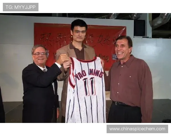 姚明在火箭队期间与莫布利的队友关系分析 姚明在火箭队期间与莫布利的队友关系分析