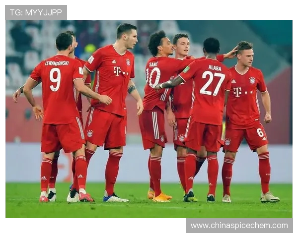 德甲参赛球队官方宣传图合集展示