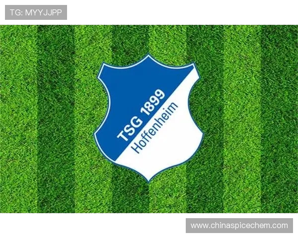 德甲球队队徽与全称对照表（图文汇总）