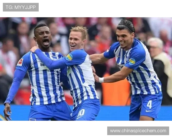 曼海姆足球俱乐部是否曾在德甲有过亮眼表现？