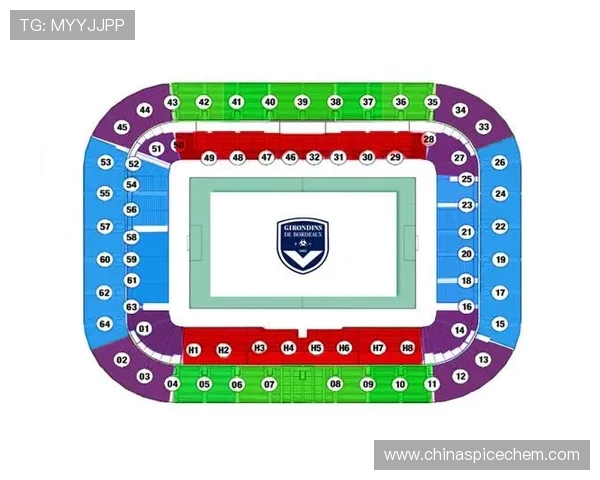 法甲最佳主场体验球场及观赛服务评比 法甲最佳主场体验球场及观赛服务评比