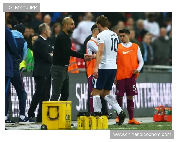 热刺队英超球衣图片大全及球迷热议款式