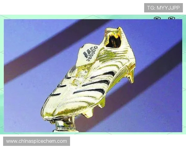 1998年法国世界杯射手榜风云与传奇球星全纪录经典进球回顾解析