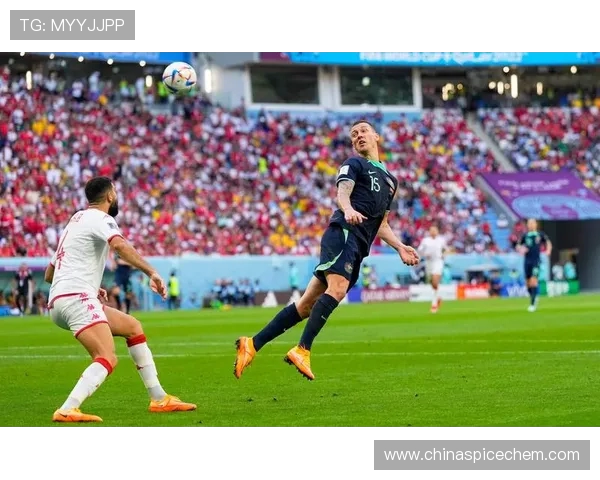 回望阿根廷2018世界杯阵容与黄金一代的谢幕征程全解析战术与命运转折