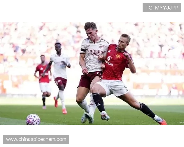 英超球员的生活日常及幕后故事