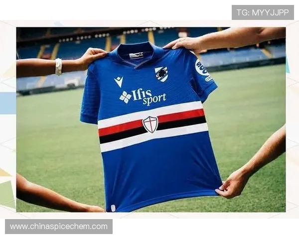 英超球衣赞助品牌排名及合作案例分析