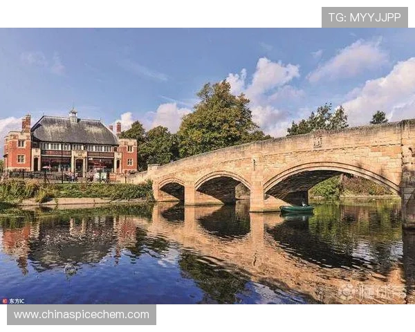 英超球队待售：待售的英超球队与市场动态分析