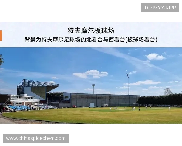 英超球队英文与粤语简称的差异与文化背景