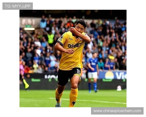 英超联赛中的韩国球员及其赛场表现