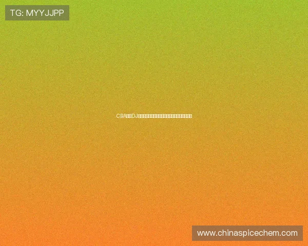CBA现场DJ音乐试听引发球迷热议，赛事氛围营造成新看点