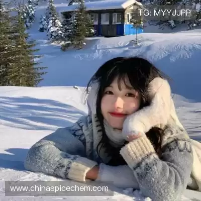 龚有闯
